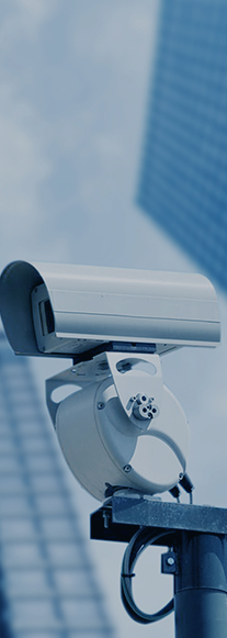 55����-׷�󿵽�,����һ������