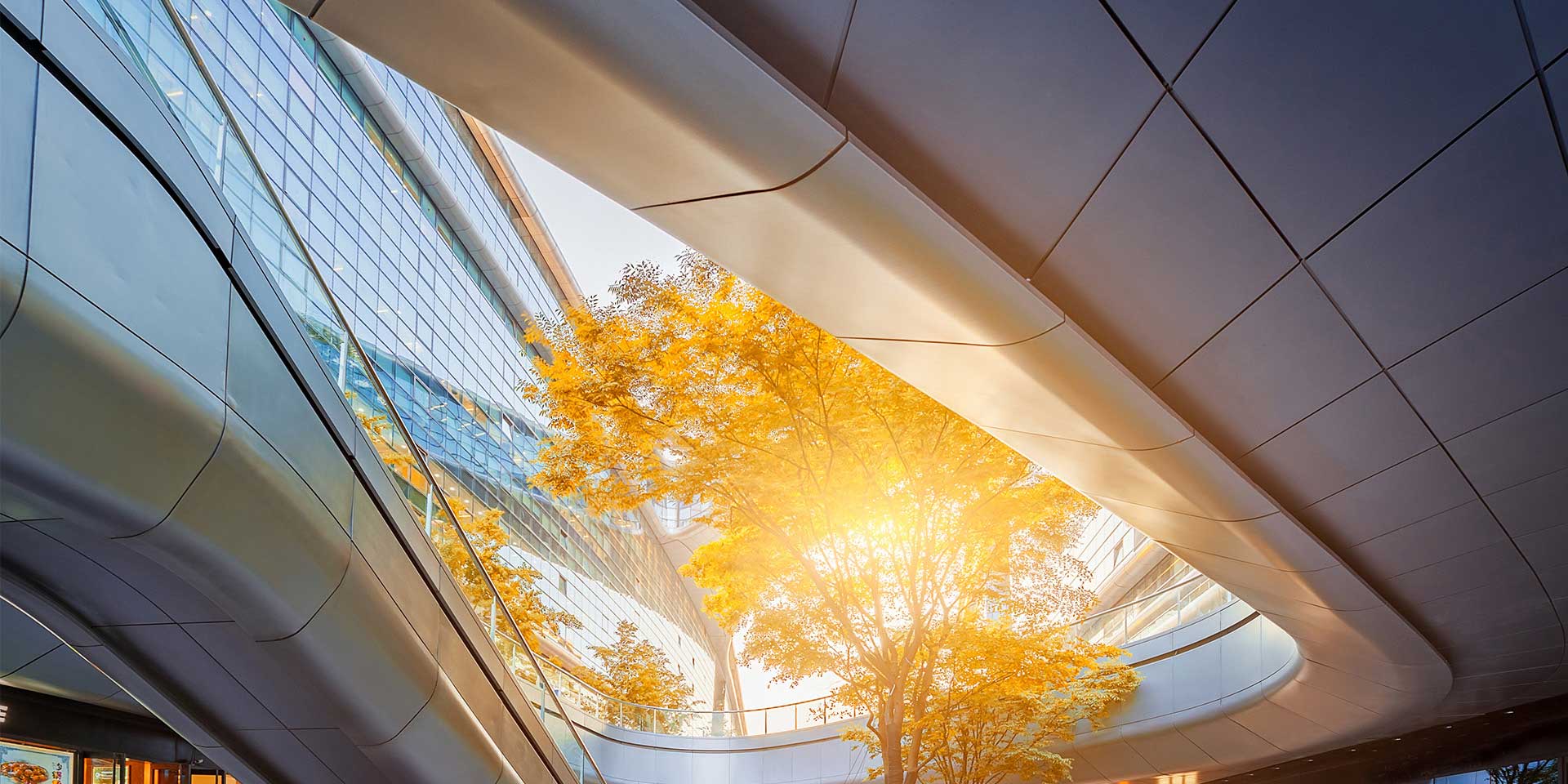 55����-׷�󿵽�,����һ������