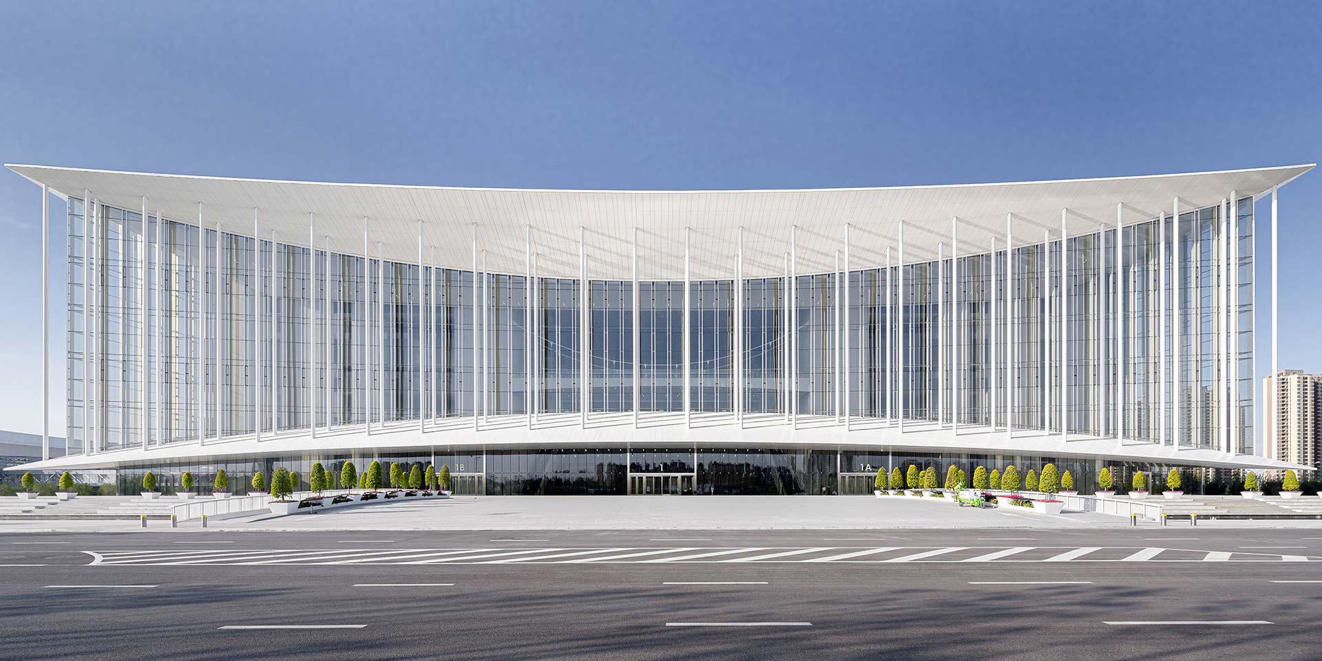 55����-׷�󿵽�,����һ������