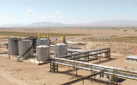 55����-׷�󿵽�,����һ������