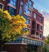 55����-׷�󿵽�,����һ������