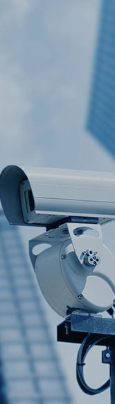 55����-׷�󿵽�,����һ������